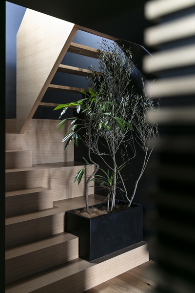 移り変わるものを美しいと感じる感覚。庭や借景だけでなく植栽として、 暮らしの内側にもその思想を取り入れる。